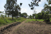 Kitenga Village